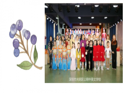 深圳市光明区公明中英文学校第二届校园才艺大赛圆满落幕！