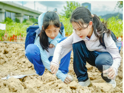 每周半天计划 | 当萌娃遇上生态农业 ！四年级学子解锁田园里的科学密码